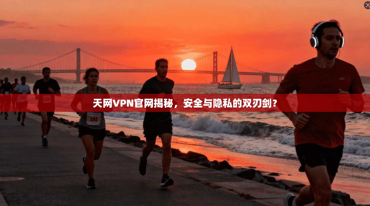 天网VPN官网揭秘，安全与隐私的双刃剑？
