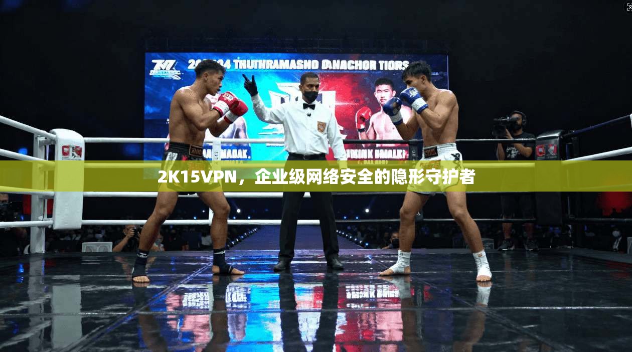 2K15VPN，企业级网络安全的隐形守护者