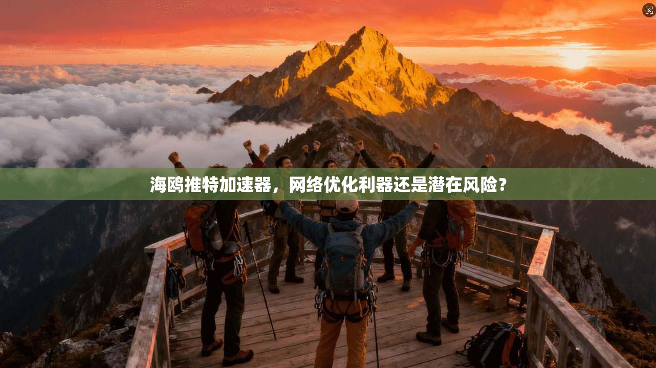 海鸥推特加速器，网络优化利器还是潜在风险？