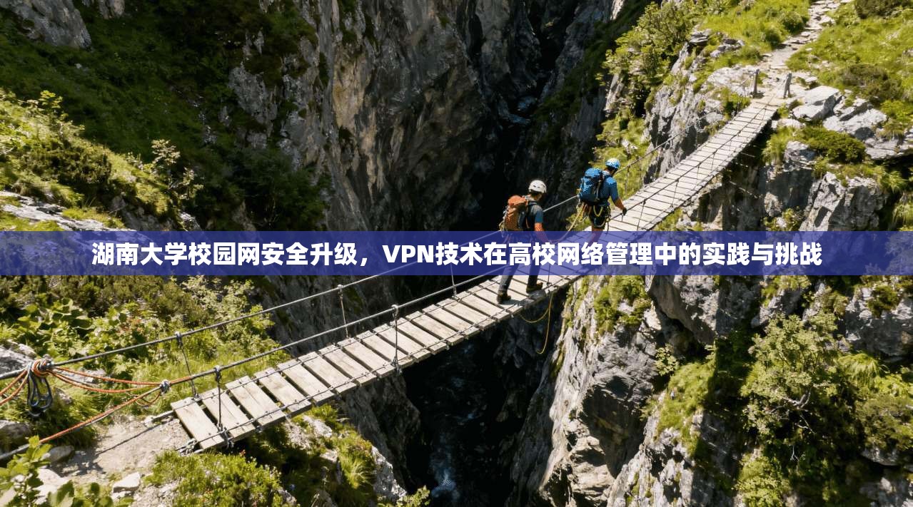 湖南大学校园网安全升级，VPN技术在高校网络管理中的实践与挑战