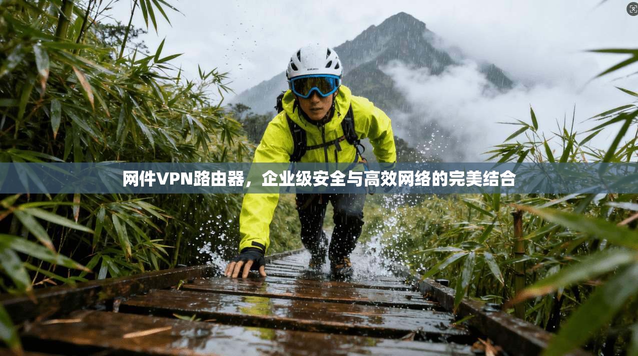 网件VPN路由器，企业级安全与高效网络的完美结合