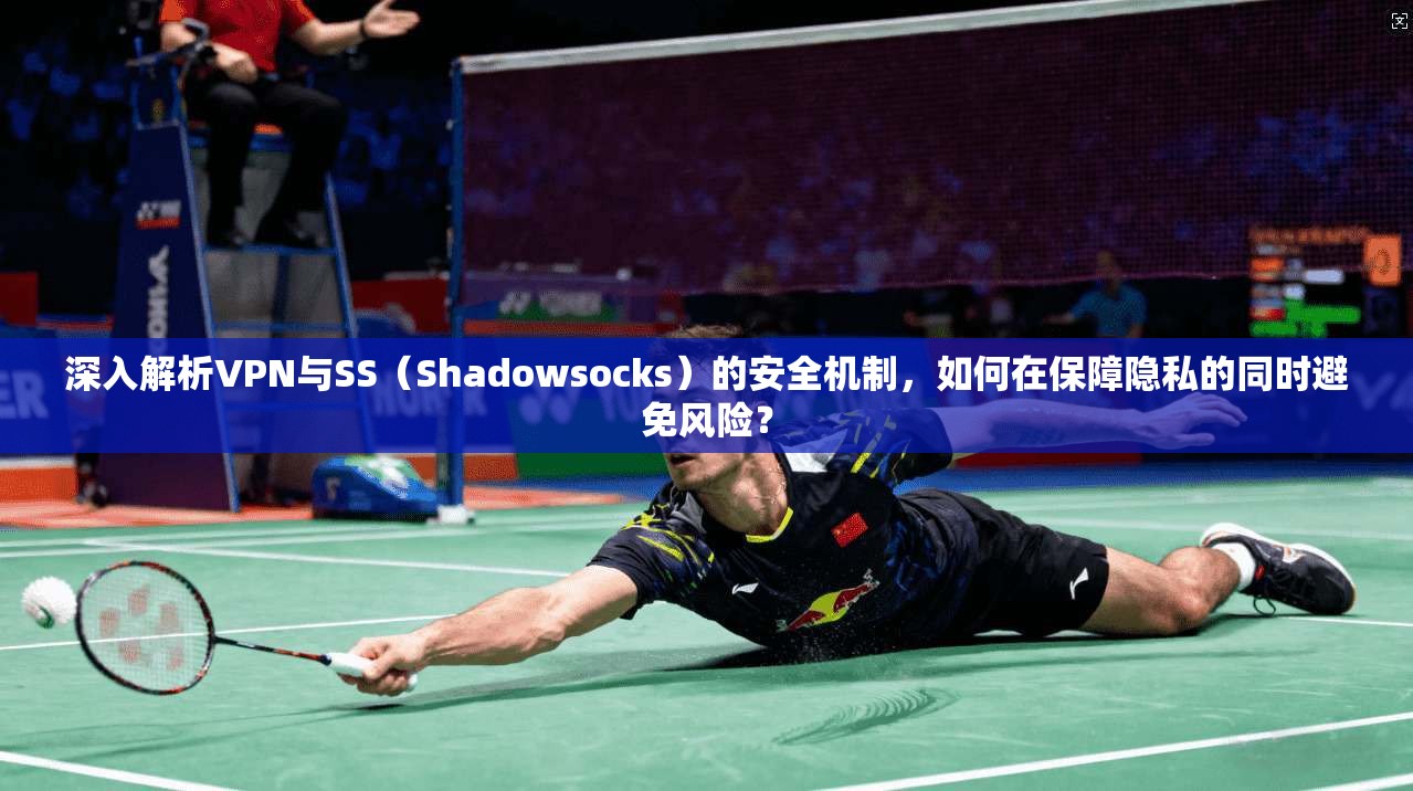 深入解析VPN与SS（Shadowsocks）的安全机制，如何在保障隐私的同时避免风险？