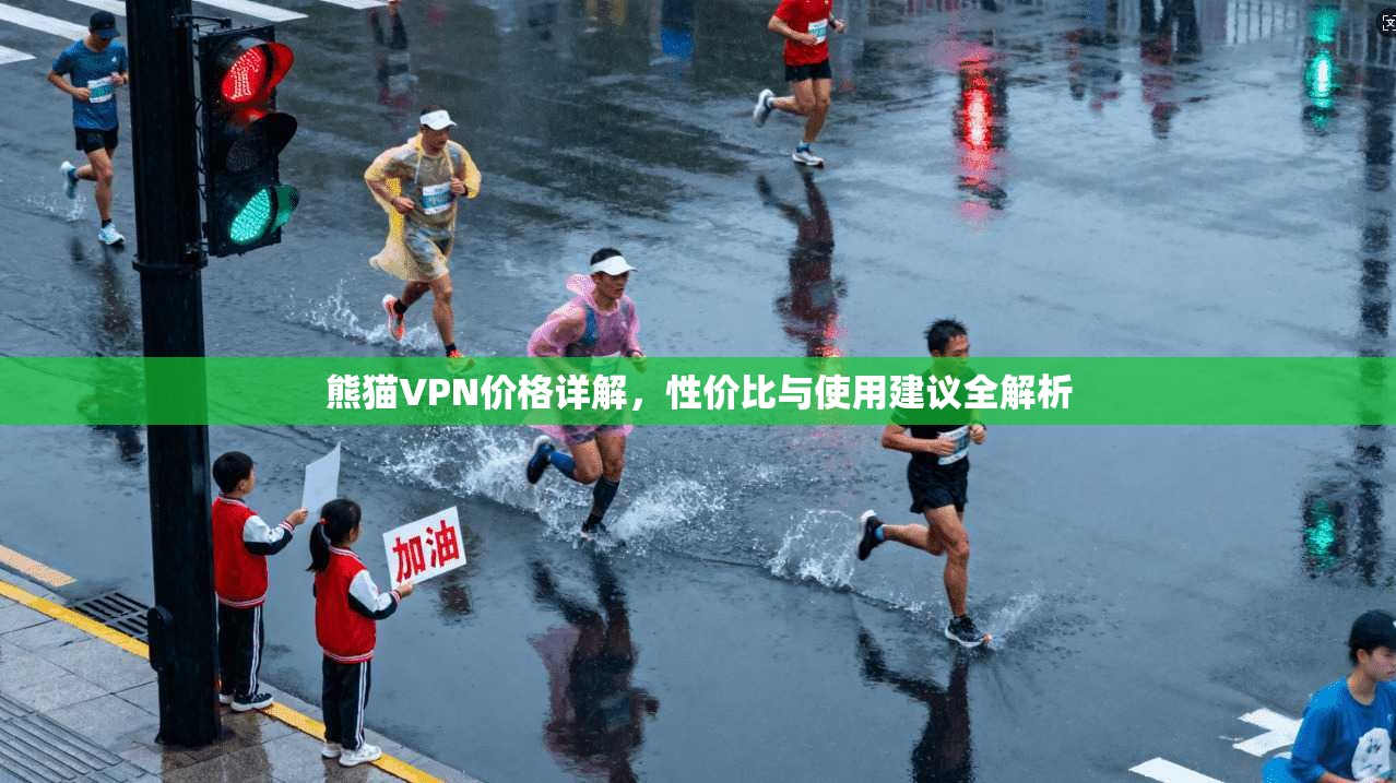 熊猫VPN价格详解，性价比与使用建议全解析