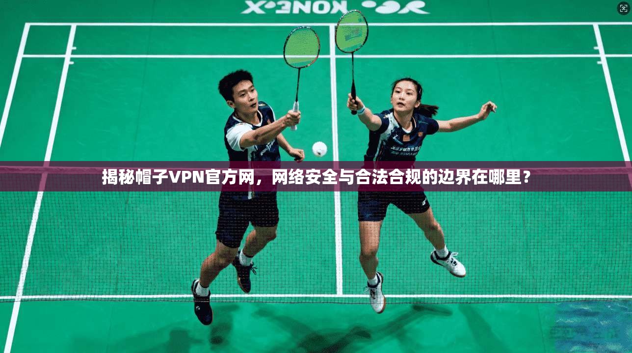 揭秘帽子VPN官方网，网络安全与合法合规的边界在哪里？