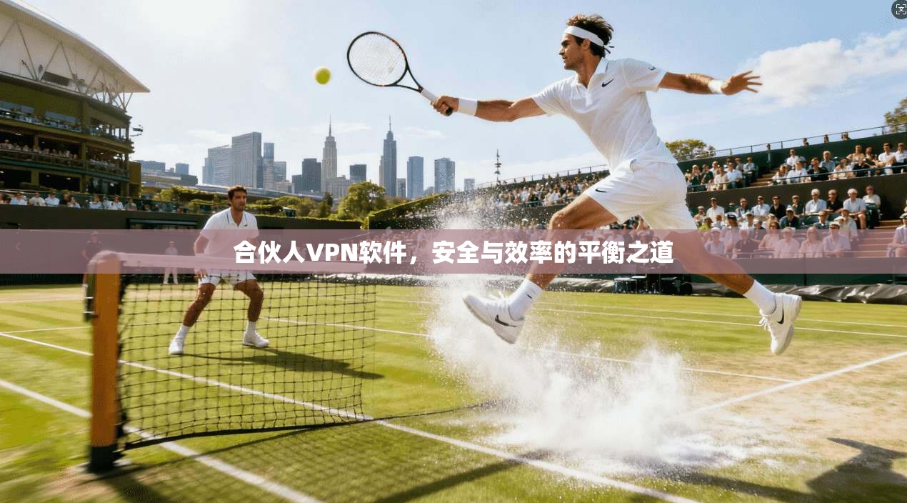 合伙人VPN软件，安全与效率的平衡之道