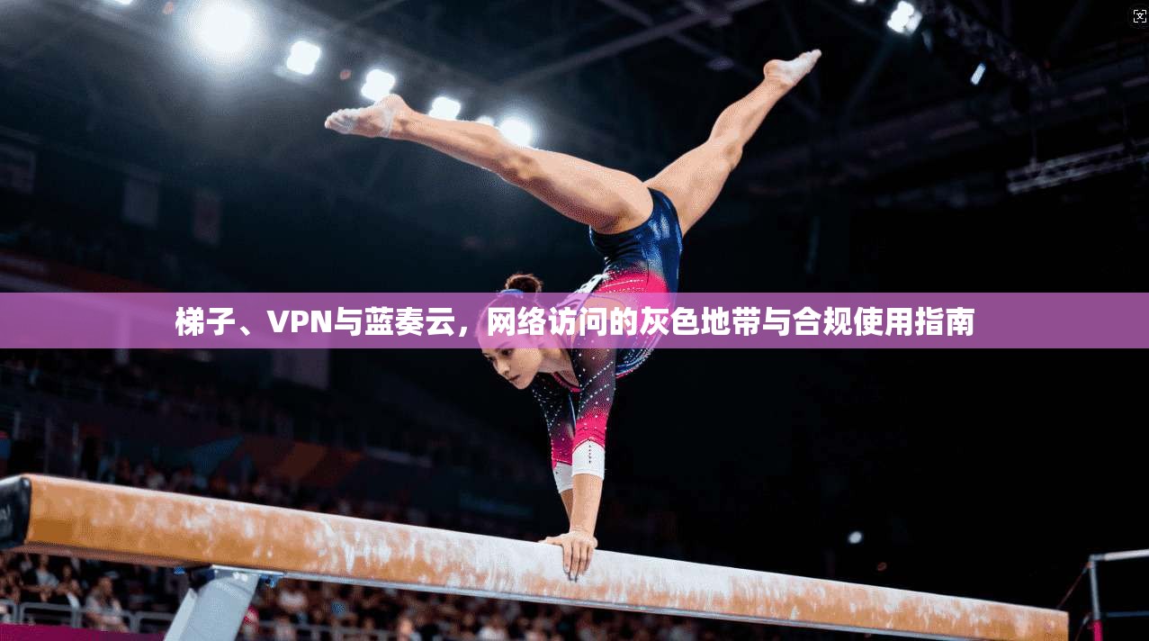 梯子、VPN与蓝奏云，网络访问的灰色地带与合规使用指南