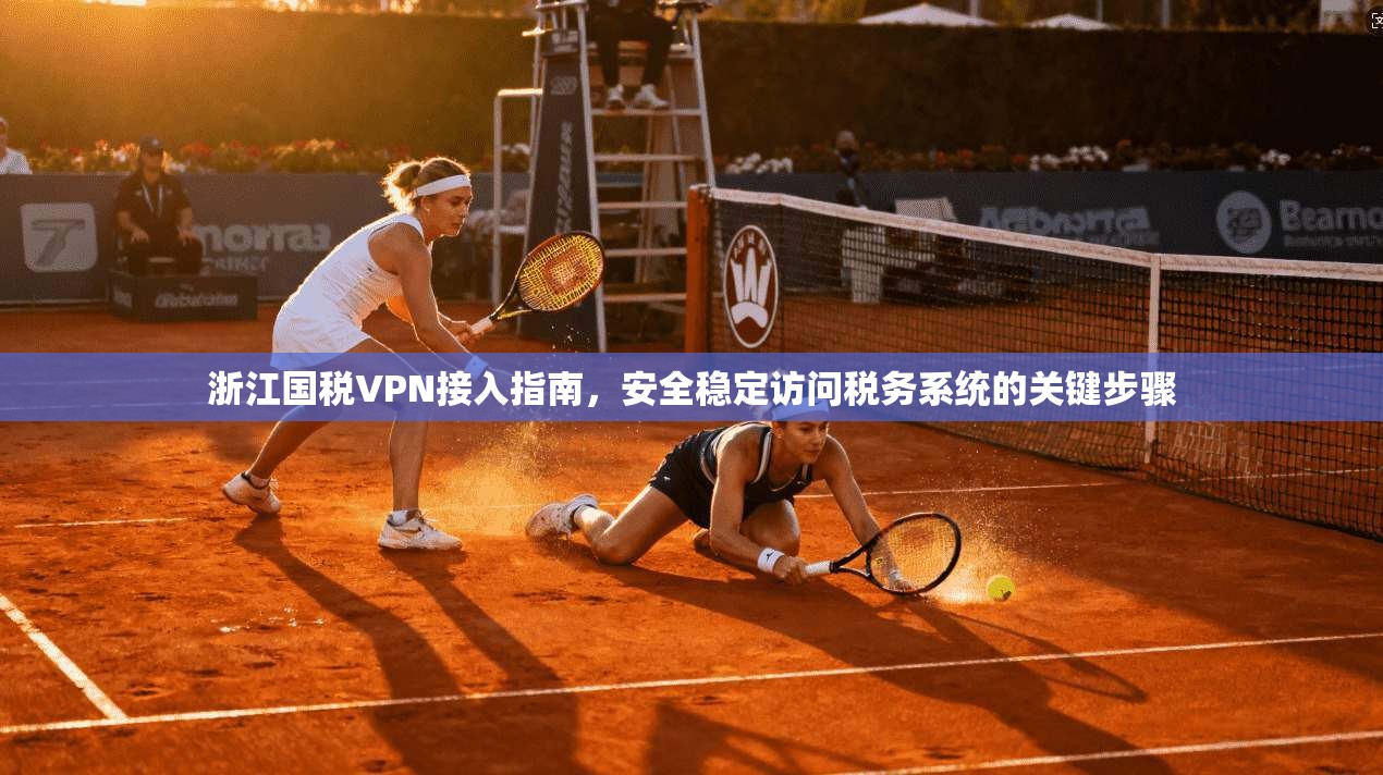 浙江国税VPN接入指南，安全稳定访问税务系统的关键步骤
