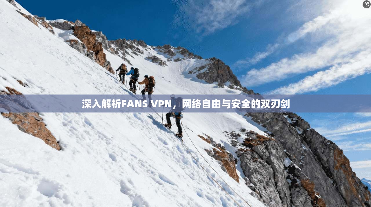 深入解析FANS VPN，网络自由与安全的双刃剑
