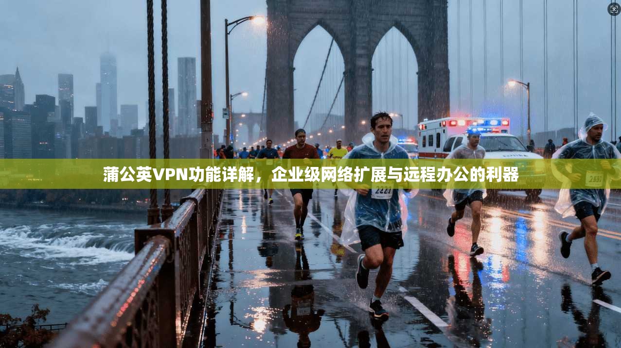 蒲公英VPN功能详解，企业级网络扩展与远程办公的利器