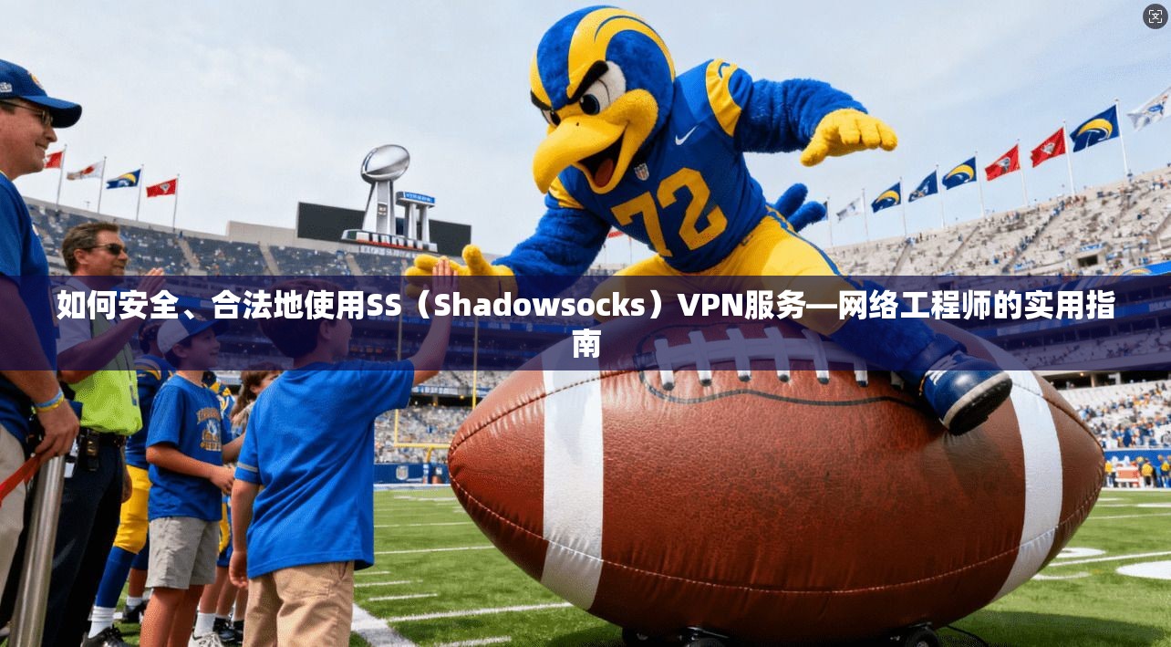 如何安全、合法地使用SS（Shadowsocks）VPN服务—网络工程师的实用指南