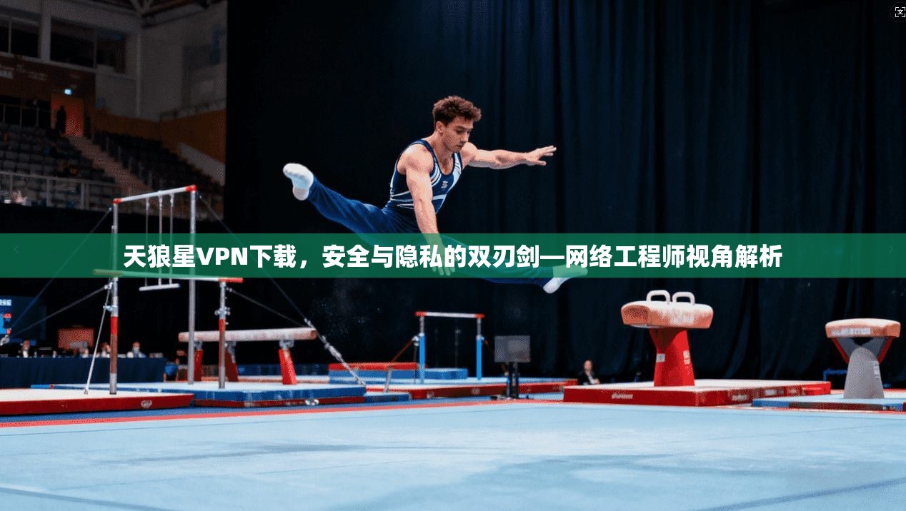 天狼星VPN下载，安全与隐私的双刃剑—网络工程师视角解析