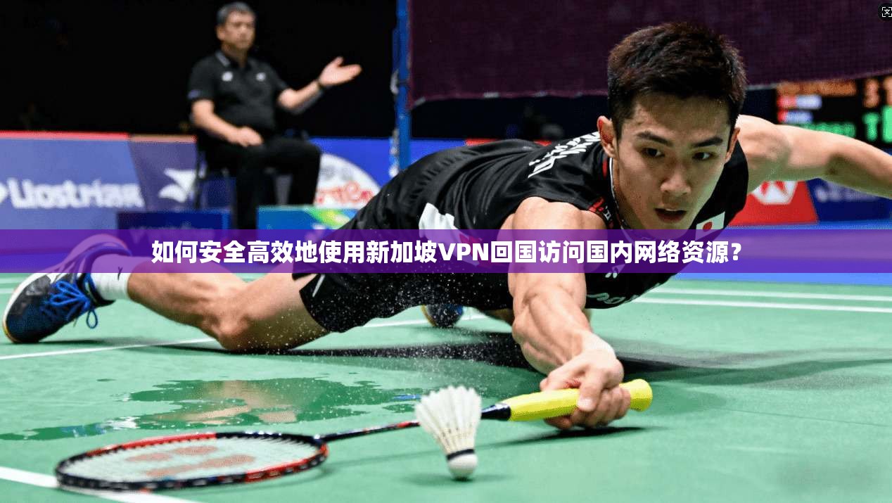 如何安全高效地使用新加坡VPN回国访问国内网络资源？