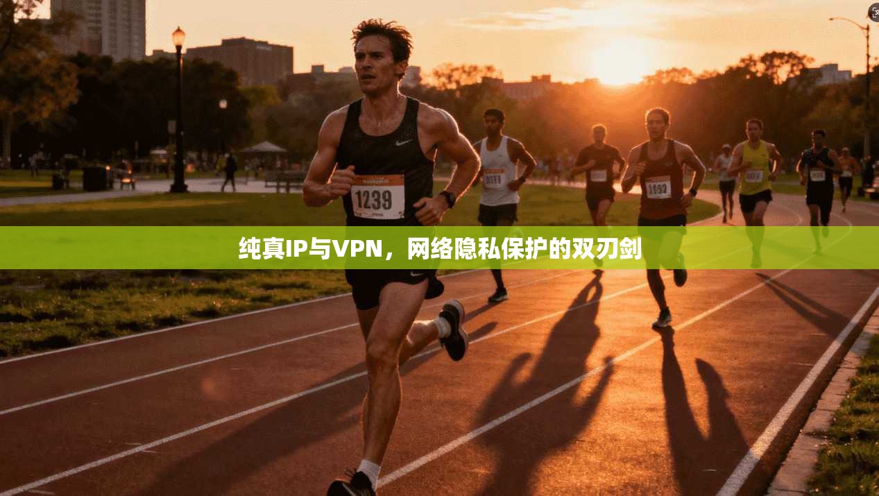 纯真IP与VPN，网络隐私保护的双刃剑