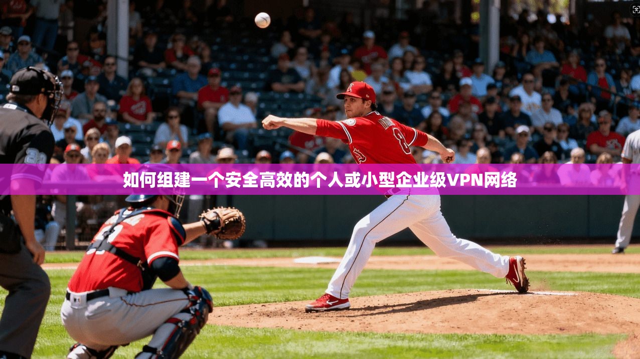 如何组建一个安全高效的个人或小型企业级VPN网络