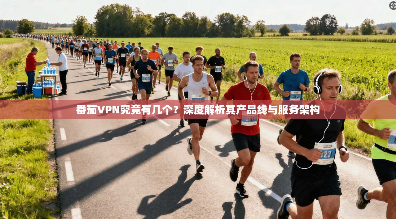 番茄VPN究竟有几个？深度解析其产品线与服务架构