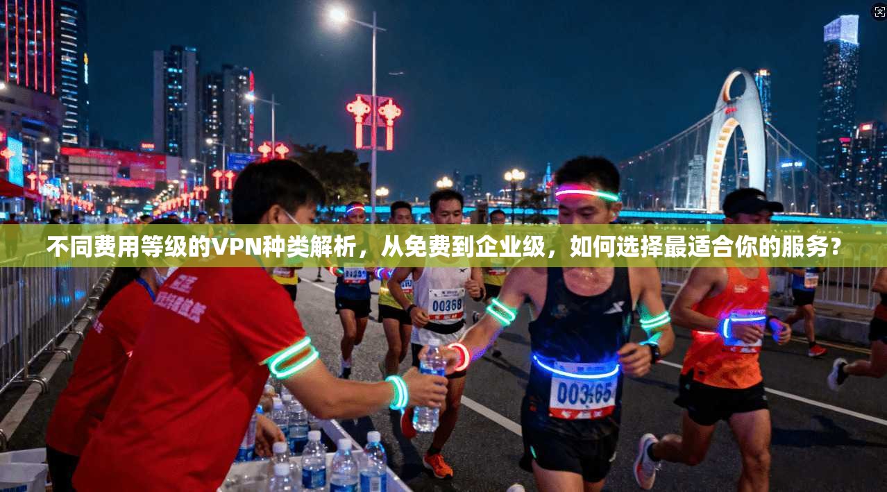 不同费用等级的VPN种类解析，从免费到企业级，如何选择最适合你的服务？