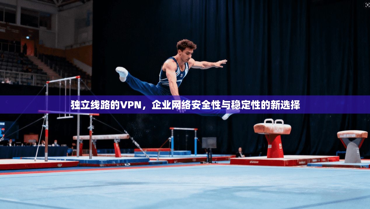 独立线路的VPN，企业网络安全性与稳定性的新选择