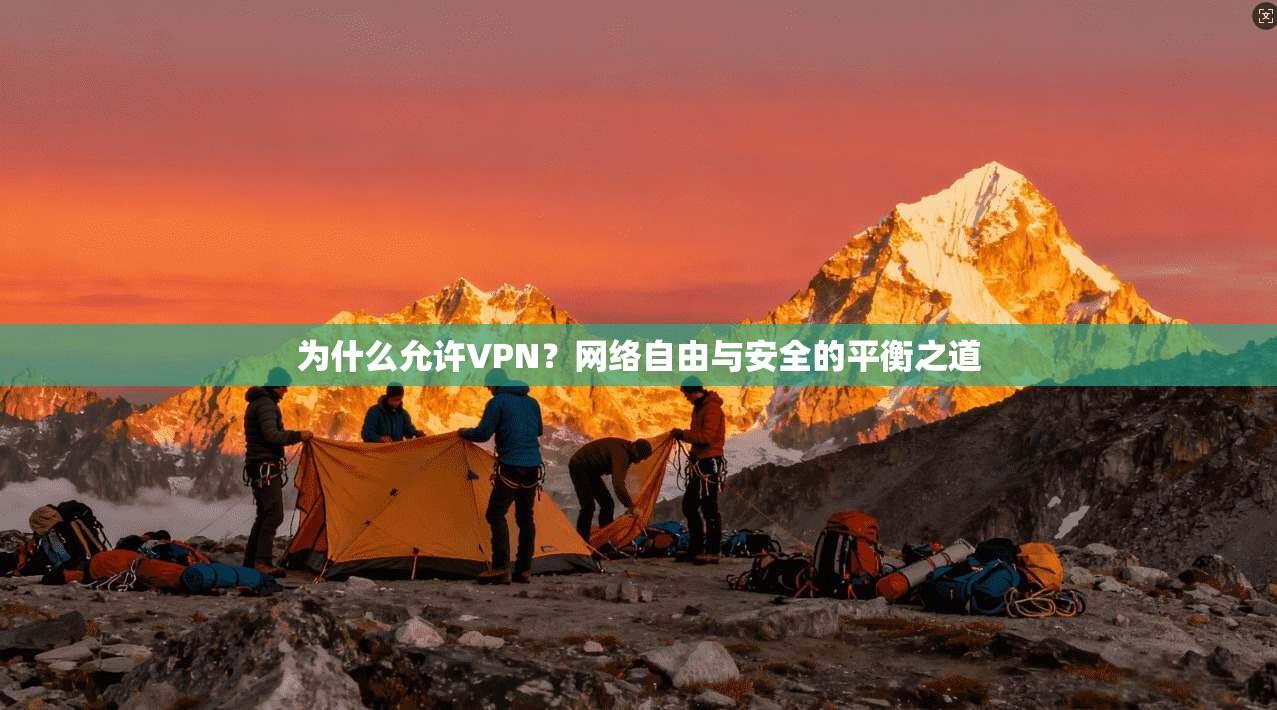 为什么允许VPN？网络自由与安全的平衡之道