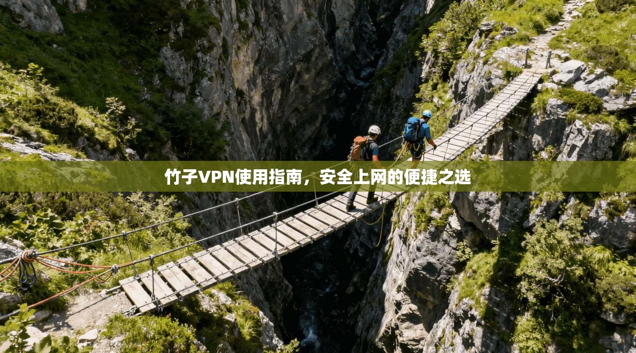 竹子VPN使用指南，安全上网的便捷之选