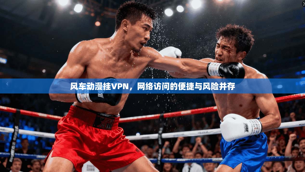 风车动漫挂VPN，网络访问的便捷与风险并存