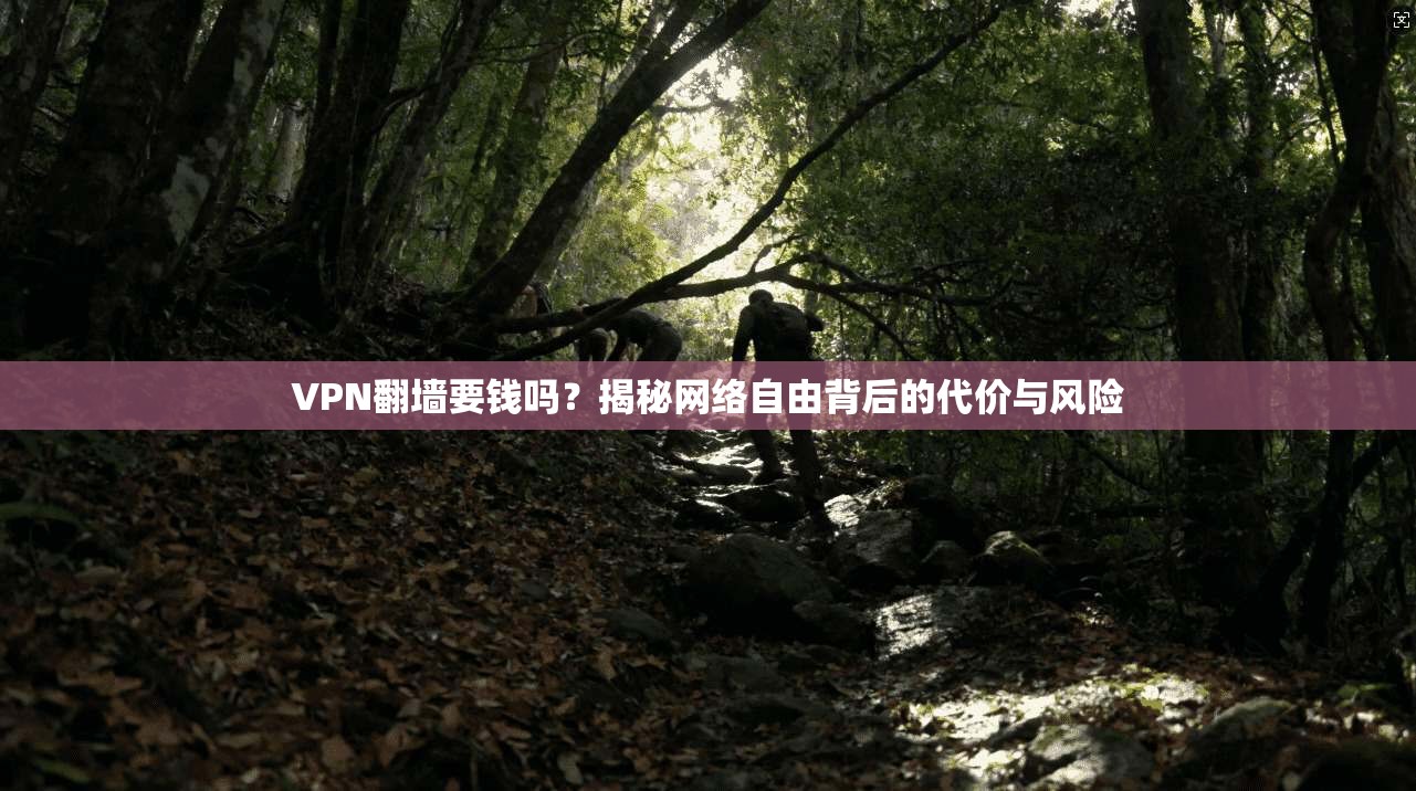 VPN翻墙要钱吗？揭秘网络自由背后的代价与风险