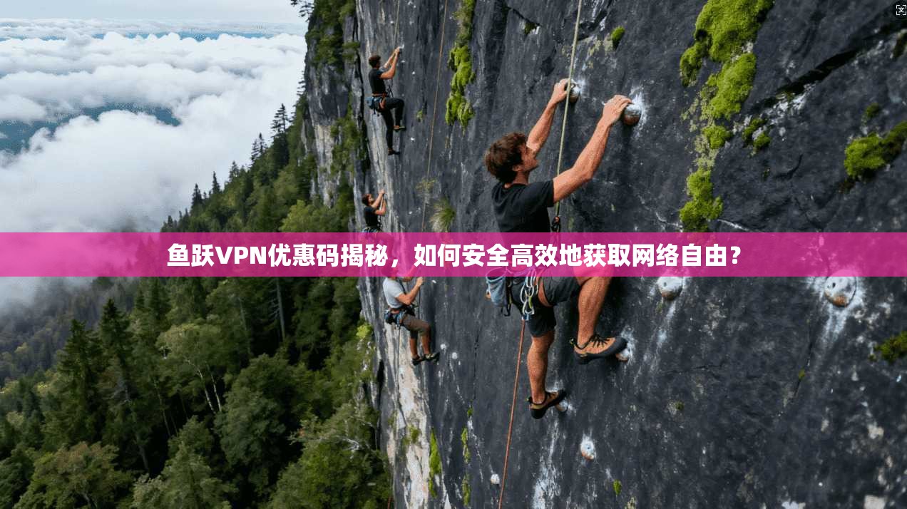 鱼跃VPN优惠码揭秘，如何安全高效地获取网络自由？