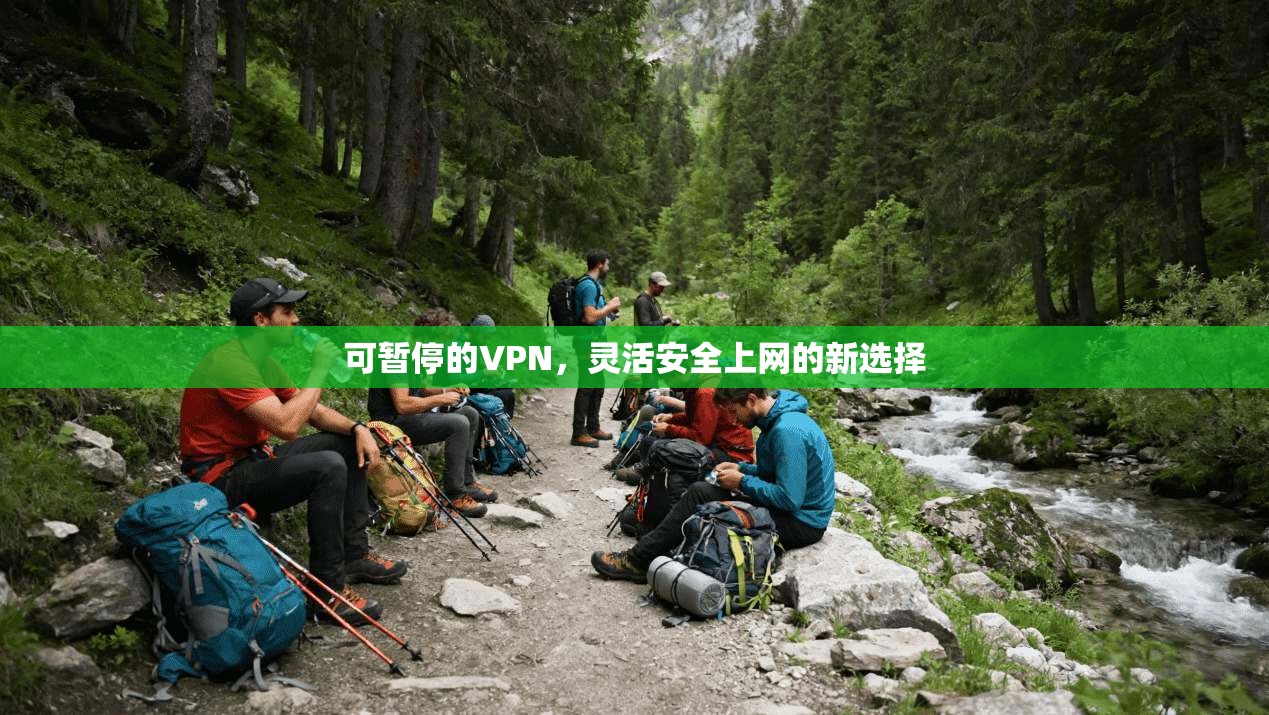 可暂停的VPN，灵活安全上网的新选择