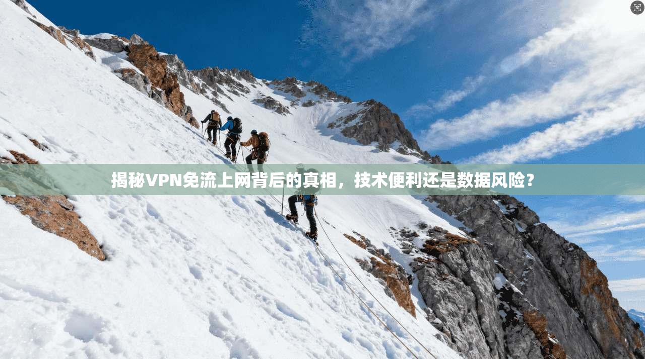 揭秘VPN免流上网背后的真相，技术便利还是数据风险？