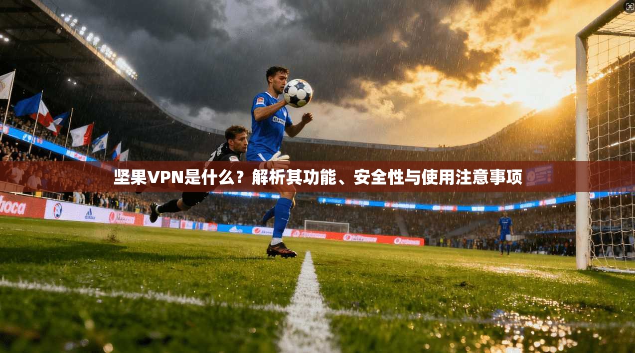 坚果VPN是什么？解析其功能、安全性与使用注意事项