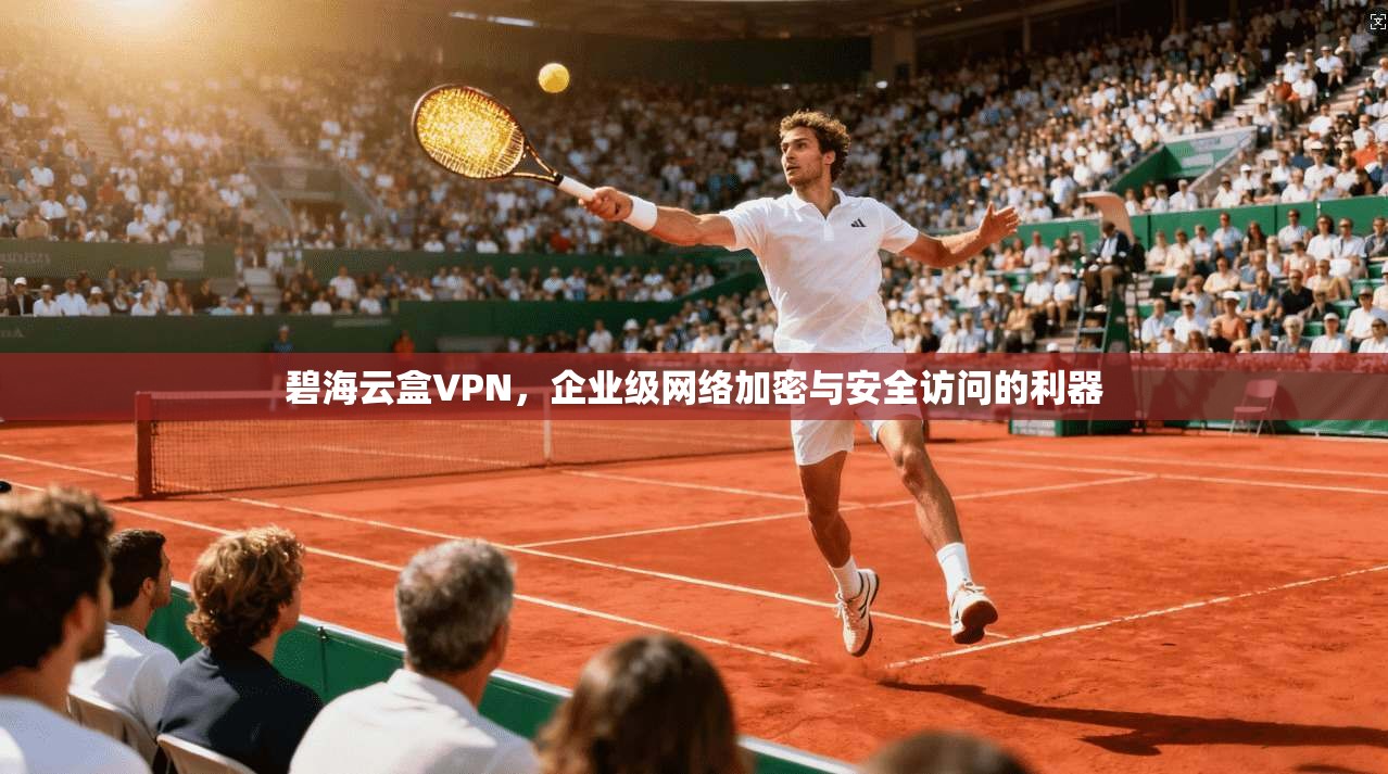 碧海云盒VPN，企业级网络加密与安全访问的利器