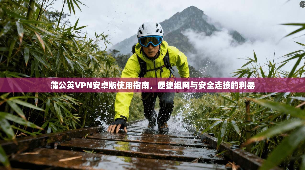 蒲公英VPN安卓版使用指南，便捷组网与安全连接的利器