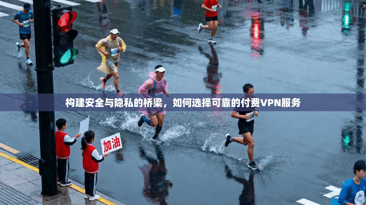 构建安全与隐私的桥梁，如何选择可靠的付费VPN服务
