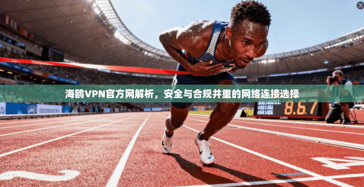 海鸥VPN官方网解析，安全与合规并重的网络连接选择
