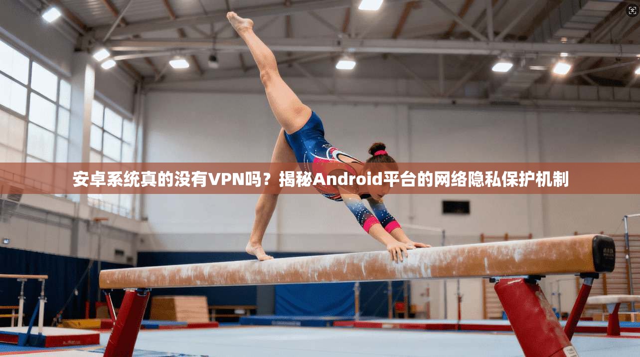 安卓系统真的没有VPN吗？揭秘Android平台的网络隐私保护机制