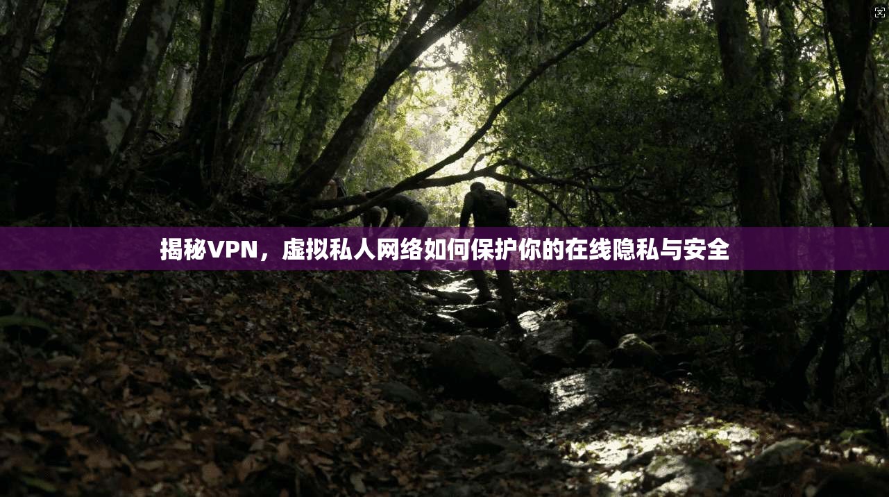 揭秘VPN，虚拟私人网络如何保护你的在线隐私与安全