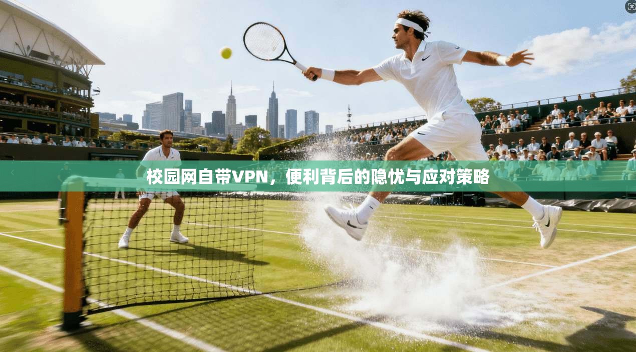 校园网自带VPN，便利背后的隐忧与应对策略