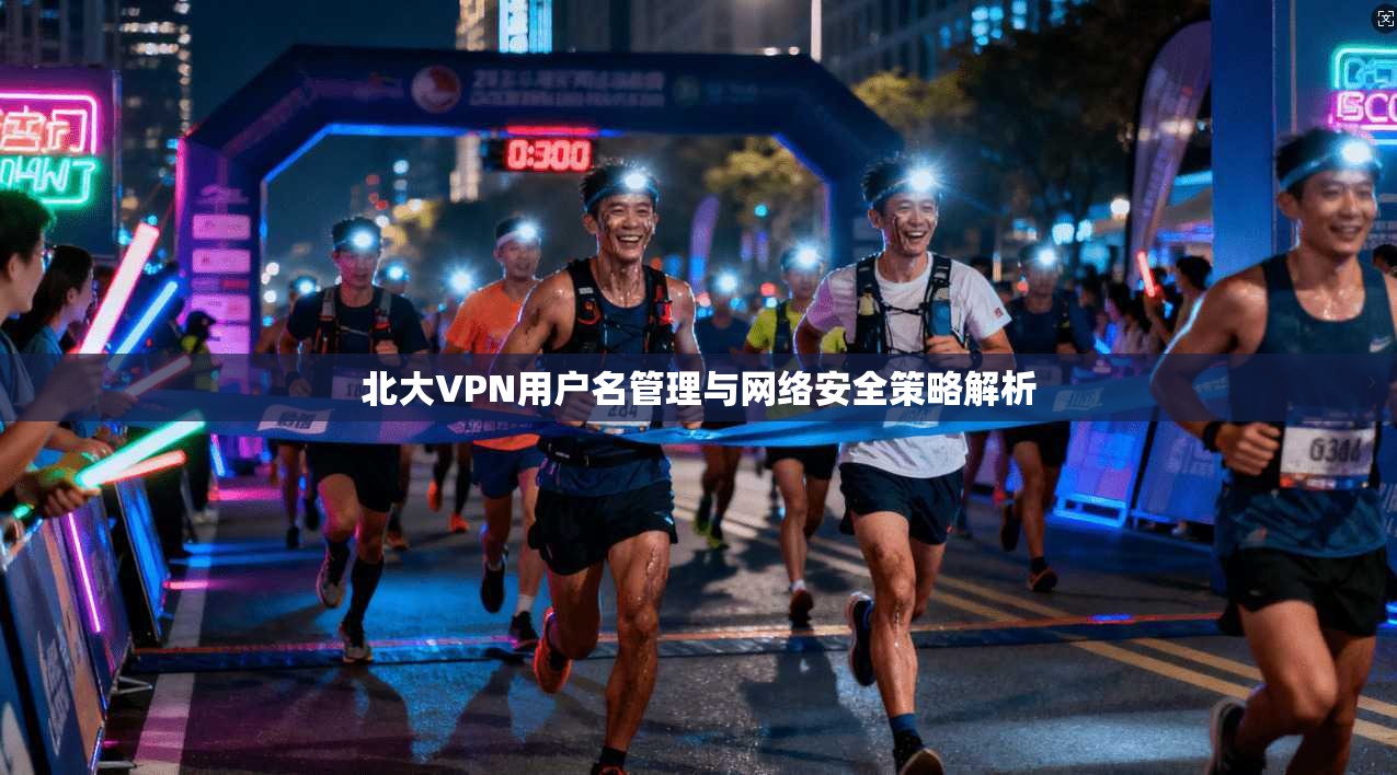 北大VPN用户名管理与网络安全策略解析