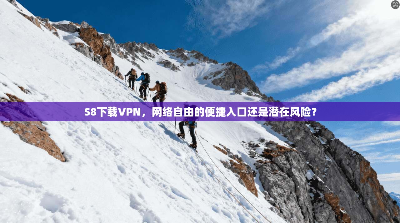 S8下载VPN，网络自由的便捷入口还是潜在风险？