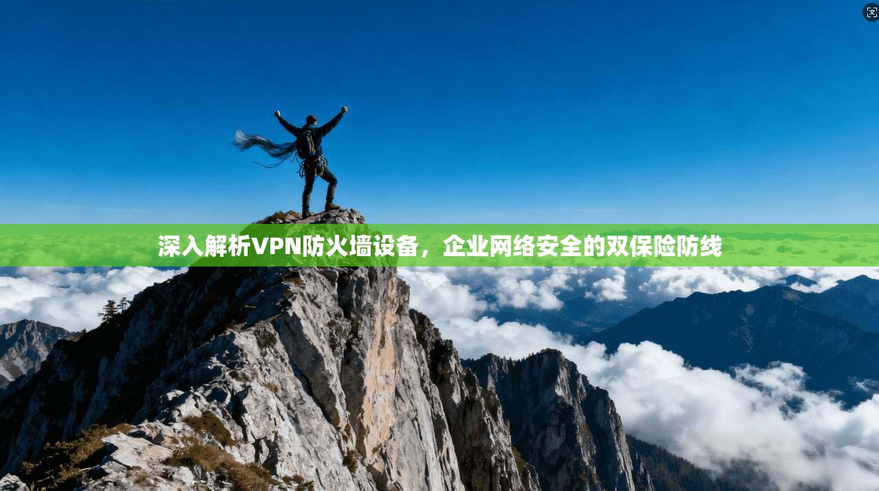 深入解析VPN防火墙设备，企业网络安全的双保险防线
