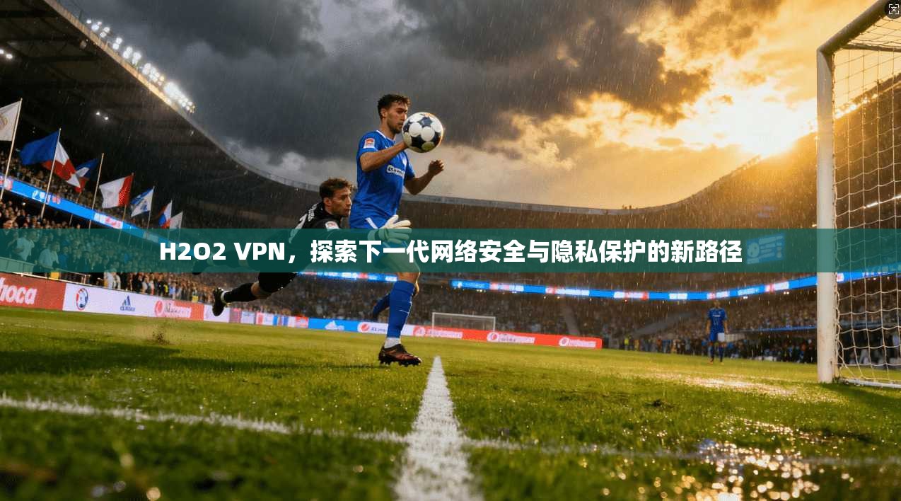 H2O2 VPN，探索下一代网络安全与隐私保护的新路径
