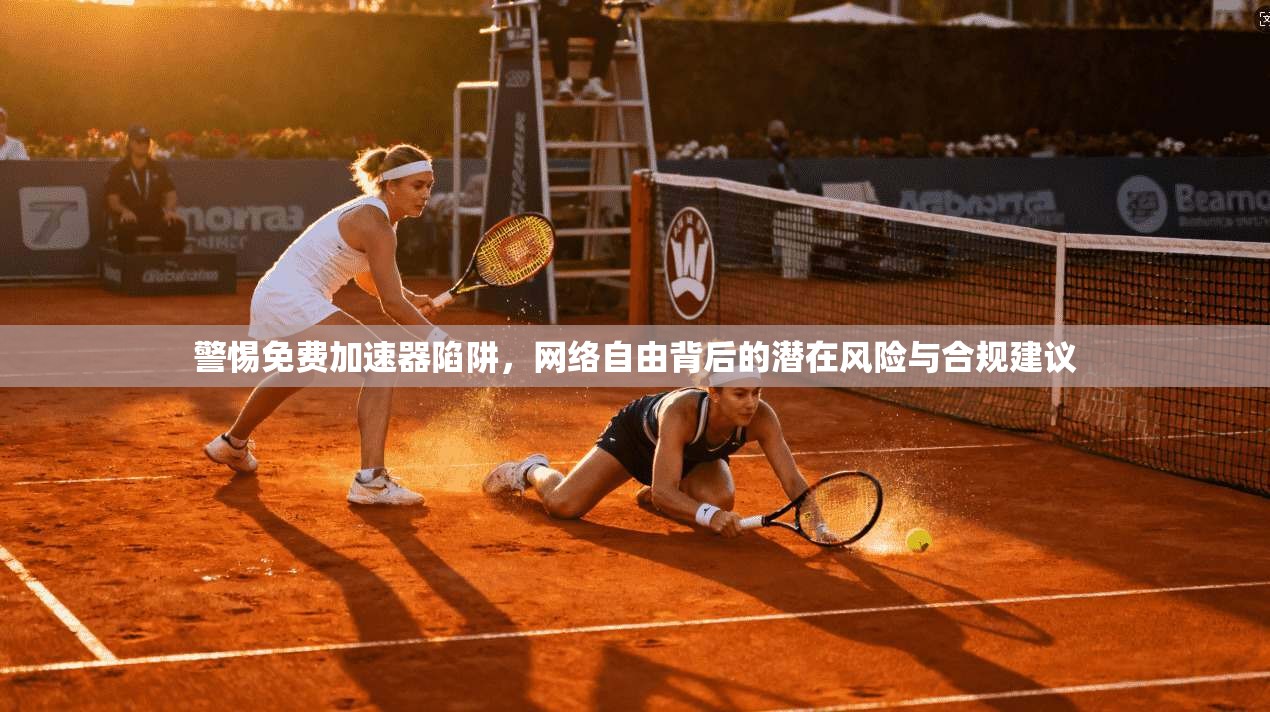 警惕免费加速器陷阱，网络自由背后的潜在风险与合规建议