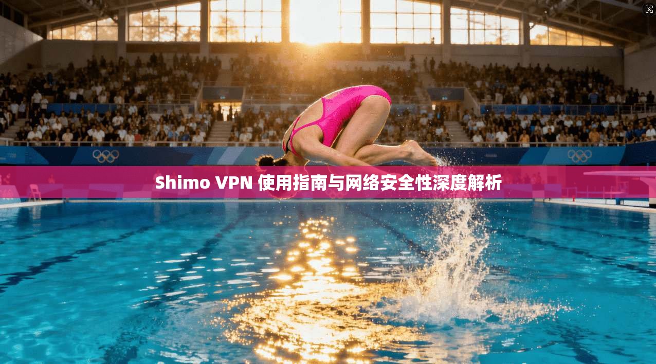 Shimo VPN 使用指南与网络安全性深度解析