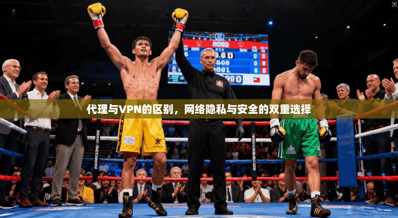 代理与VPN的区别，网络隐私与安全的双重选择