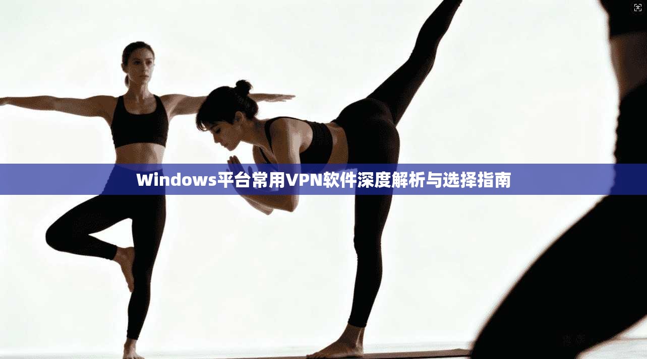 Windows平台常用VPN软件深度解析与选择指南 Windows平台常用VPN软件深度解析与选择指南