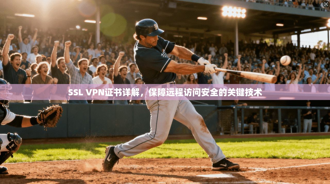 SSL VPN证书详解,保障远程访问安全的关键技术 SSL VPN证书详解,保障远程访问安全的关键技术