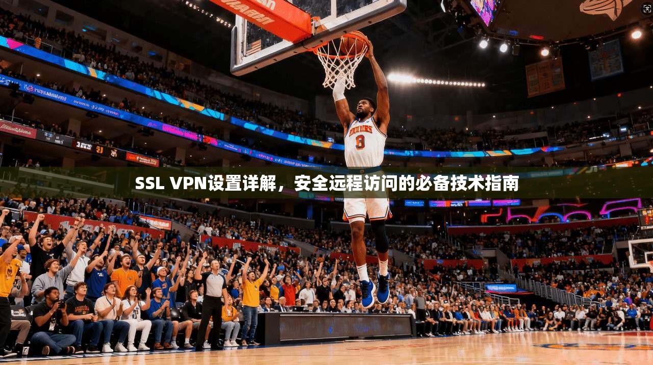 SSL VPN设置详解，安全远程访问的必备技术指南