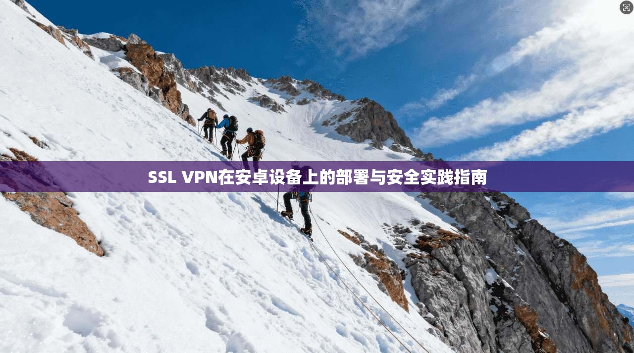 SSL VPN在安卓设备上的部署与安全实践指南