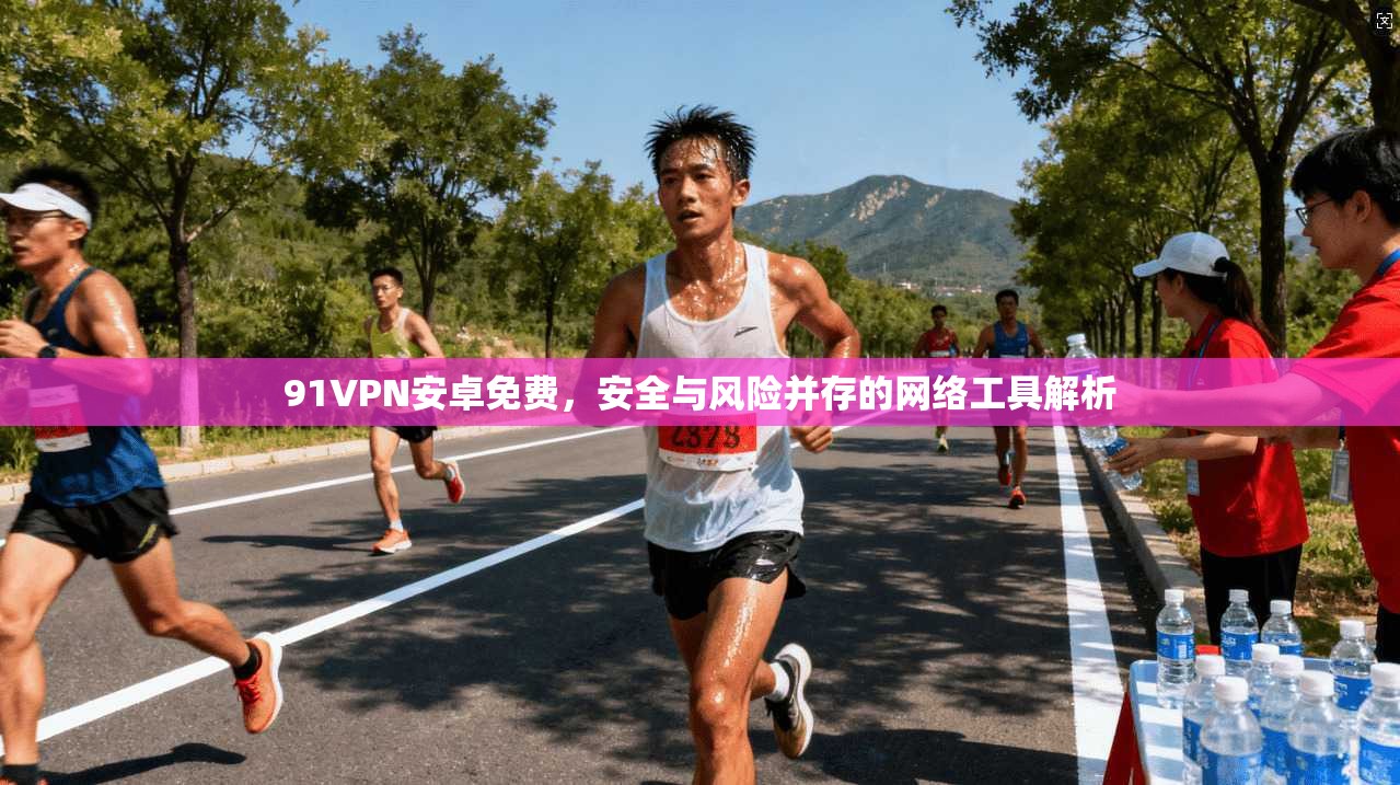 91VPN安卓免费，安全与风险并存的网络工具解析