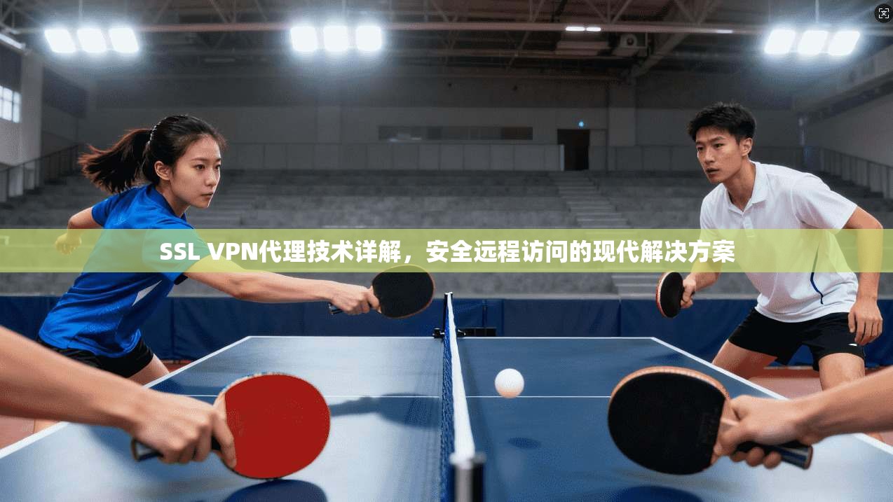 SSL VPN代理技术详解，安全远程访问的现代解决方案