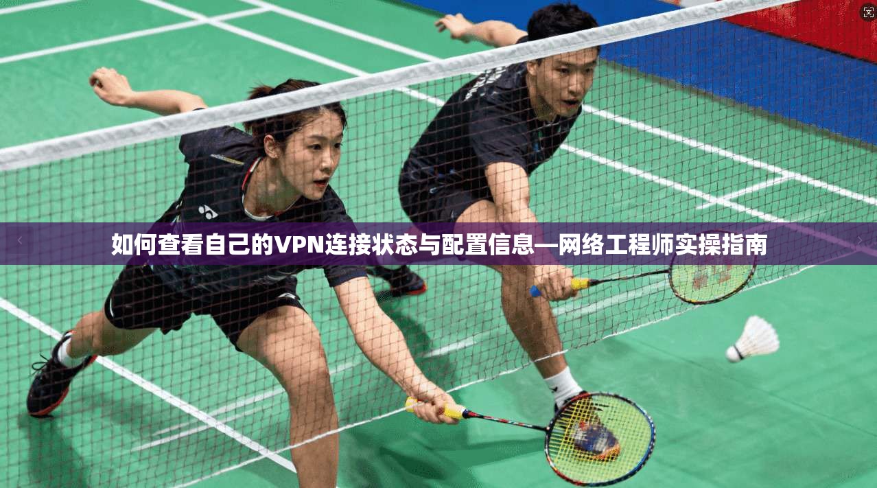 如何查看自己的VPN连接状态与配置信息—网络工程师实操指南